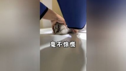 盖耶引爆