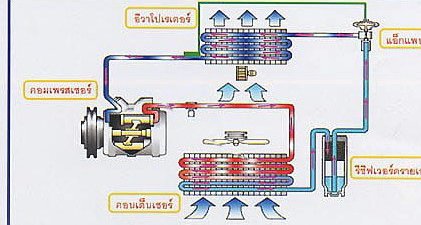 波切蒂诺怒斥红牌风波后的网络暴力侮辱